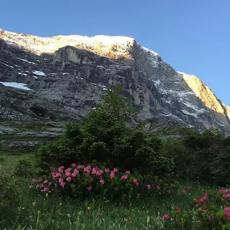 Eigernordwand Apartman Grindelwald