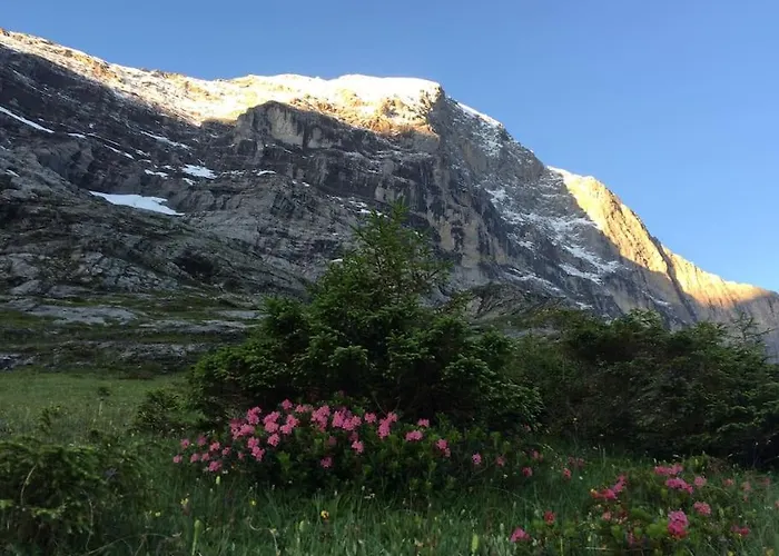 Eigernordwand Appartement Grindelwald